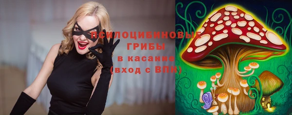 ECSTASY Лиски