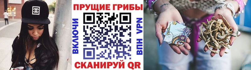Галлюциногенные грибы Psilocybe  цены   Махачкала 