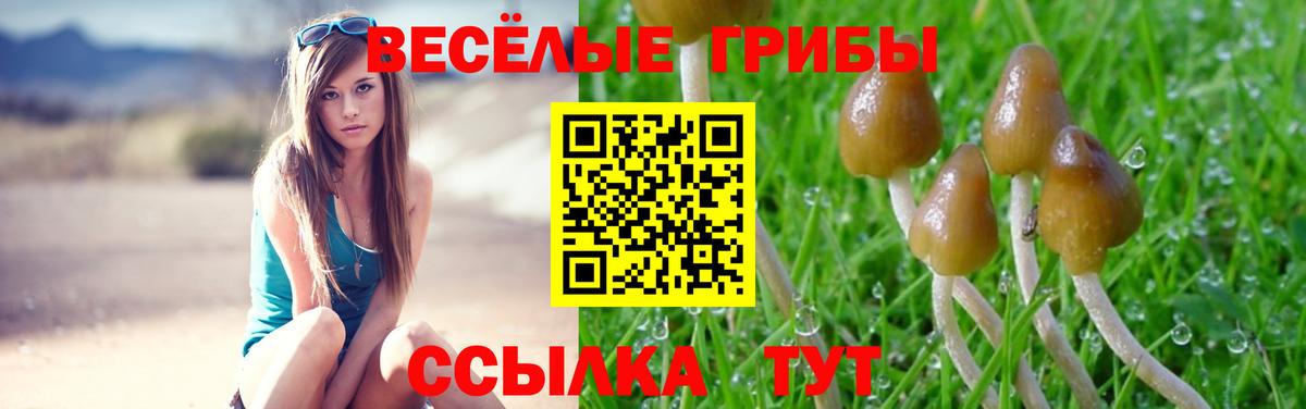 Махачкала  Галлюциногенные грибы Magic Shrooms  Вход с VPN  Псилоцибиновые грибы мухоморы 