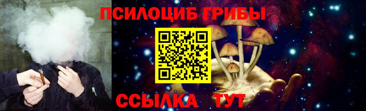 Галлюциногенные грибы Psilocybine cubensis Махачкала