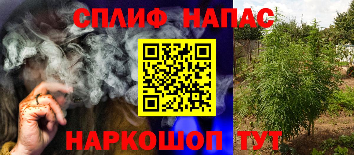 Конопля AK-47 Махачкала